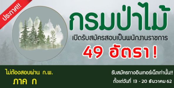 ประกาศ !!  กรมป่าไม้ เปิดสมัครสอบเป็นพนักงานราชการ 49 อัตรา